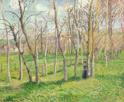 Pré à Bazincourt, 1885 - Camille Jacob Pissarro